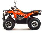 Квадроцикл MOTOLAND 200 Max — изображение 3