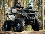 Квадроцикл YAMAHA Shark 300cc — изображение 4