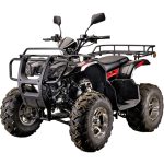 Квадроцикл YACOTA Sela Lux 150 LD — изображение 2