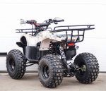 Квадроцикл STALKER 125 Lux — изображение 8