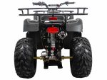 Квадроцикл ATV Classic 200 — изображение 6