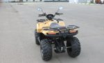 Квадроцикл IRBIS ATV 250 Premium — изображение 4