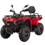 Квадроцикл BIZON YK250 Lux EFI