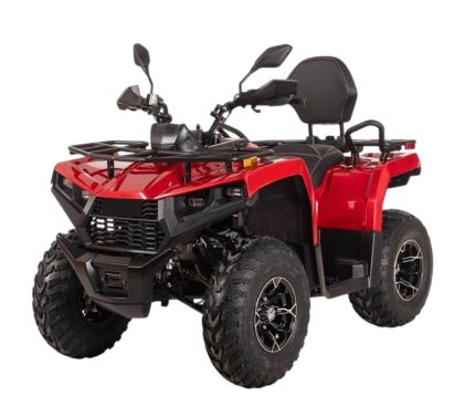 Квадроцикл BIZON YK250 Lux EFI