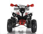 Квадроцикл MOTAX ATV Raptor Super LUX 125 cc — изображение 5