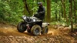 Квадроцикл YAMAHA Grizzly 700 EPS SE (ПСМ) — изображение 12
