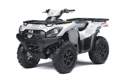 Квадроцикл KAWASAKI Brute Force 750 4x4i EPS (2023) (ПСМ)