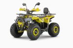 Квадроцикл WELS Thunder Trail 125 PRO — изображение 3