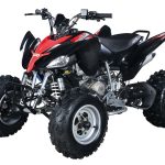 Квадроцикл ABM Scorpion 250