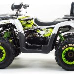 Квадроцикл MOTOLAND ATV 200 Wild Track