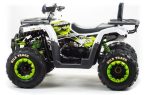 Квадроцикл MOTOLAND ATV 200 Wild Track