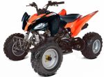 Квадроцикл ABM Scorpion 250 — изображение 2