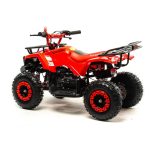 Квадроцикл MOTOLAND 50 Scorpion (2021 Г.) — изображение 3