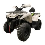 Квадроцикл MOTOLAND Shark 200