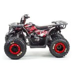 Квадроцикл MOTOLAND Wild 150 — изображение 4