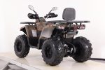 Квадроцикл SHARK III 250 — изображение 9