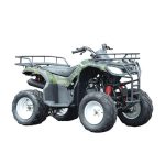 Квадроцикл WELS Purga 170