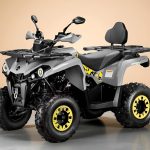 Квадроцикл ГЛАДИАТОР F200 Lux Plus