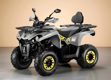 Квадроцикл ГЛАДИАТОР F200 Lux Plus