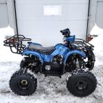 Квадроцикл MOTOLAND 125 Fox A — изображение 5