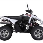 Квадроцикл RATO RТ250SТ-2