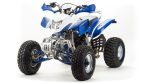 Квадроцикл MOTOLAND 250 Dakar — изображение 3