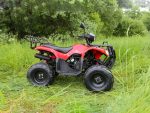 Квадроцикл ARMADA ATV 150L — изображение 3