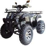 Квадроцикл WELS Thunder 200 Lux