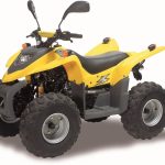 Квадроцикл ADLY 100