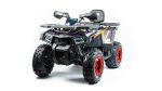 Квадроцикл MOTOLAND 200 Wild Track X Pro (2022) — изображение 4