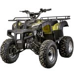 Квадроцикл YACOTA Sela 150 — изображение 2