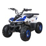 Квадроцикл YACOTA Raposa