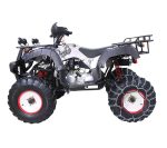 Квадроцикл WELS Thunder 200 Lux — изображение 4