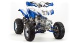 Квадроцикл MOTOLAND 250 Dakar — изображение 2