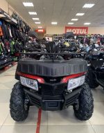 Квадроцикл YACOTA Cabo 200 LD — изображение 7