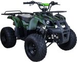Квадроцикл RAPTOR ATV150U Classic F+ 150CC 4Т — изображение 3