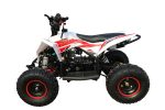 Квадроцикл MOTAX Gekkon 90cc — изображение 3