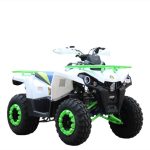 Квадроцикл ROVER 200L PRO