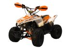Квадроцикл RACER RC 110 Coyote — изображение 4