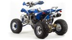 Квадроцикл MOTOLAND 250 Dakar — изображение 6