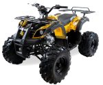 Квадроцикл MOTAX ATV Grizlik-8 125 — изображение 2