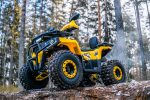Квадроцикл WELS Thunder Trail 125 PRO — изображение 4