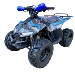 Квадроцикл RAPTOR New 125