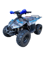 Квадроцикл RAPTOR New 125