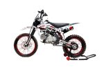 Мотоцикл REGULMOTO Seven Medalist 19/16 PITBIKE — изображение 2