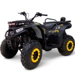 Квадроцикл MOTAX Grizlik W200
