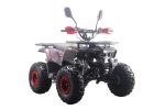 Квадроцикл MOTAX ATV Grizlik Premium 125cc — изображение 17
