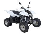 Квадроцикл SYM QuadRaider 300 SS — изображение 2