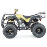 Квадроцикл STALKER 250 — изображение 12