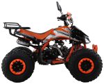 Квадроцикл MOTAX ATV T-Rex Super LUX 125 cc — изображение 2